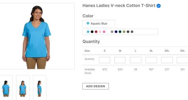 Hanes Ladies V-neck Cotton T-Shirt